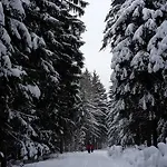 Goldbrunnen 3 *
