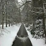 Goldbrunnen 3 *