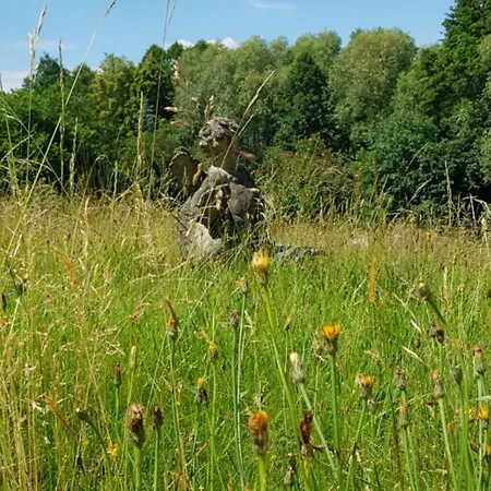 Goldbrunnen 3 * Bad Elster