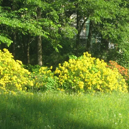 아파트 Goldbrunnen 3 바트엘스터