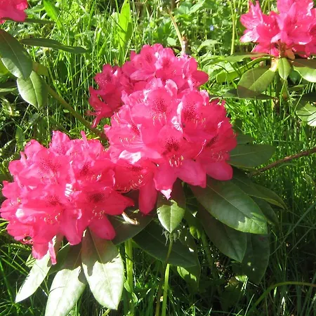 아파트 Goldbrunnen 3